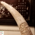 Ngà Voi Mỹ Nghệ - [[ Siêu To Khổng Lồ ]] - ( Chất Liệu Bằng Xương)