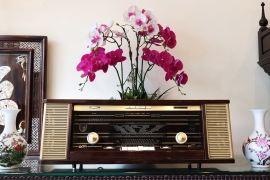 Radio PHILIPS Xưa...