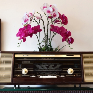 Radio PHILIPS Xưa...