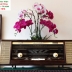 Radio PHILIPS Xưa...