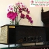 Radio PHILIPS Xưa...