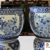 Chậu Sứ - Thống Sứ ( Vẽ Tứ Quý ) - Phiên Bản Đặc Biệt
