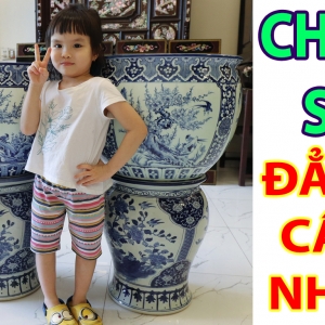 Chậu Sứ - Thống Sứ ( Vẽ Tứ Quý ) - Phiên Bản Đặc Biệt